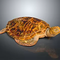Sea Turtle with Brown Orange Patterned Shell Resting on Dark Background