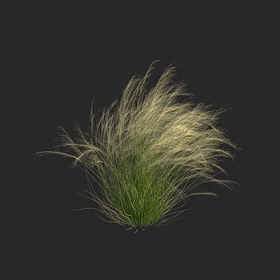 Modern Fine Stem Stipa Mexican Feather Grass Fine Stem Needle Manglijian Grass Potted Plant 3d model