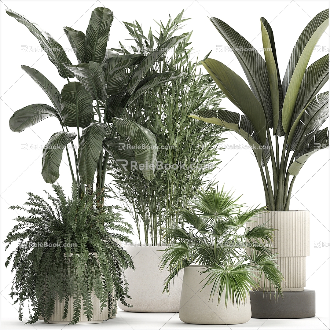 plant potted plant green plant potted plant 3d model