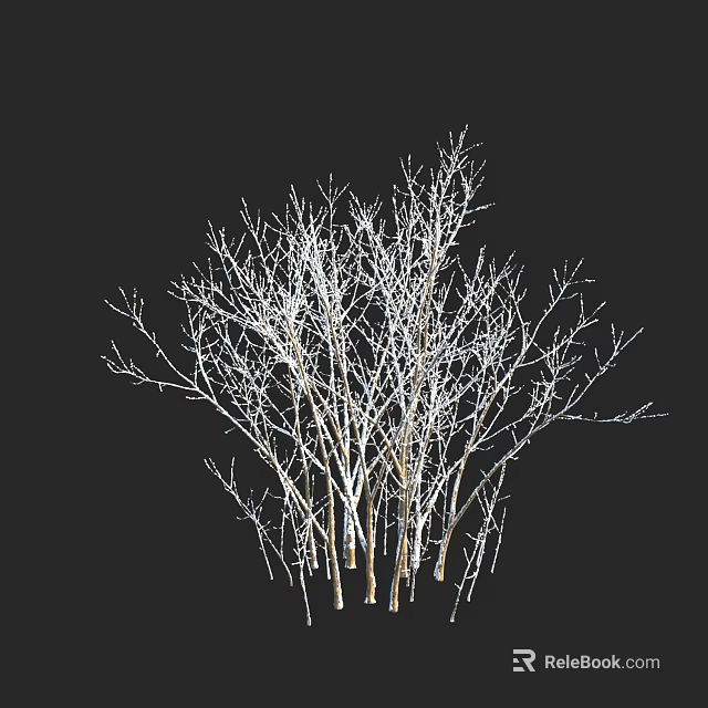 Group Of Bare Shrubs With Thin Light Colored Branches On Dark Background 3d model 