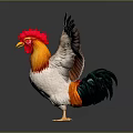 Vibrant Rooster With Red Comb Orange Throat White Body Green Red Tail Feathers Spread Wings