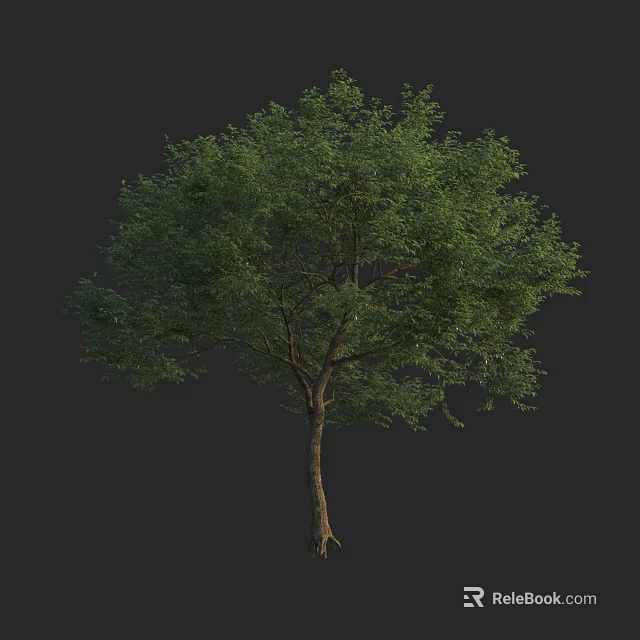 Lush Green Arbor Tree With Healthy Brown Trunk And Dense Foliage In Natural Scene 3d model 