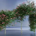 Beautiful Bush Arch Adorned With Pink Flowers And Green Leaves Against Blue Sky