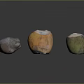 Fresh Tropical Coconuts Featuring Whole Brown And Halved Yellow Green Fruits