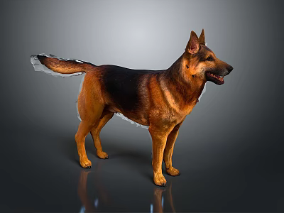 Modern Dog German Black Back German Wolfhound German Shepherd 3d model