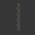 DNA Molecule Double Helix Structure With Violet Blue Glowing On Dark Background