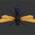 Insect with Blue Body and Yellow Transparent Wings Featuring Red Patterns on Dark Background