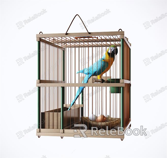 Modern parrot model