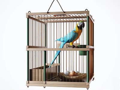 Modern parrot 3d model