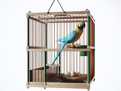 Modern parrot model