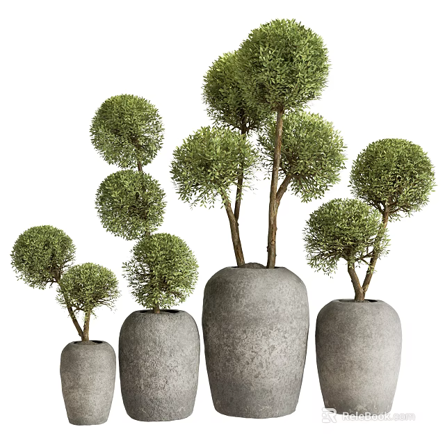 Green Round Shaped Bonsai Potted Plants in Gray Stone Planters of Various Sizes 3d model 