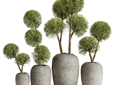 Green Round Shaped Bonsai Potted Plants in Gray Stone Planters of Various Sizes 3d model