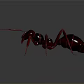 Metallic Ant 3D Rendering With Red Legs Antennae And Shiny Surface 3d model