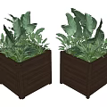 Square Wooden Flower Pots With Lush Green Leafy Plants For Garden Decoration