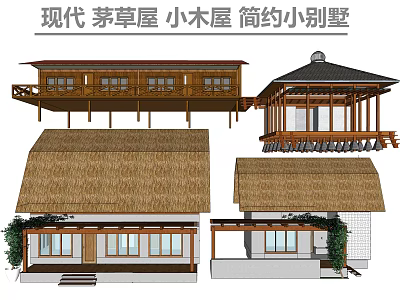 Modern Thatched Cottage Chalet Simple Small Villa 3d model