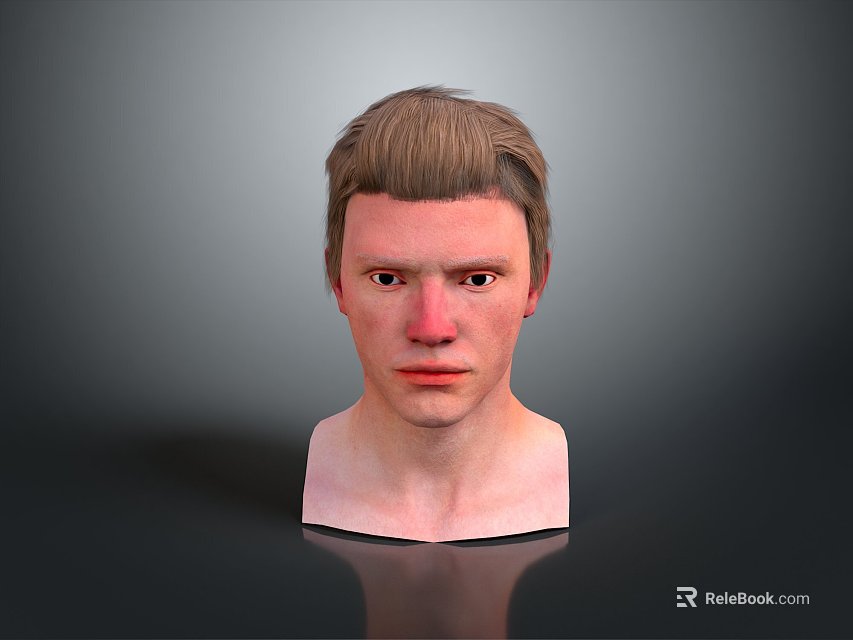 Realistic 3D Model of Man Head With Short Brown Hair on Gray Background 3d model 