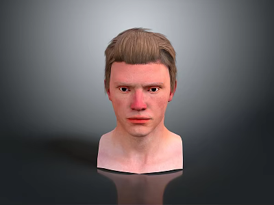 Realistic 3D Model of Man Head With Short Brown Hair on Gray Background 3d model