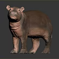 Realistic Brown Hippo Sculpture On Gray Gradient Background With Smooth Surface And Reflection 3d model