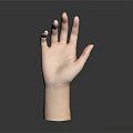 Lifelike Human Hand Model with Palm Up and Fingers Spread on Dark Background