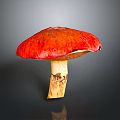 Red Mushroom With Vibrant Red Cap And Yellow Stem On Gray Background
