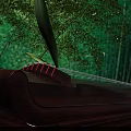 Traditional Chinese Guqin Musical Instrument Featuring Wooden Texture Strings And Bamboo Forest Background