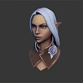 Elf Character 3D Model Bust Featuring Silver Gray Long Hair Pointed Ears And Decorative Collar
