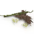 Arbor Branches With Root System Green Moss And Small Plants 3d model