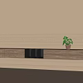 Modern Wooden TV Stand with Drawers Black Storage and Potted Plant on Decorative Wall