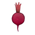 Handcrafted Red Beetroot Sculpture with Carved Stalks and Root Details
