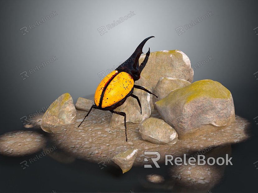 modern beetle beetle rhinoceros insect insect model