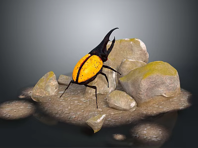 Striking Yellow and Black Horned Flying Beetle near Stones and Water 3d model