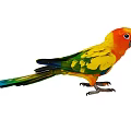 Colorful Parrot with Vibrant Orange Yellow Green Feathers Standing Gracefully on White Background