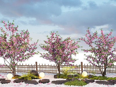 arbor cherry blossom landscape tree peach tree flowers courtyard tree street tree 3d model