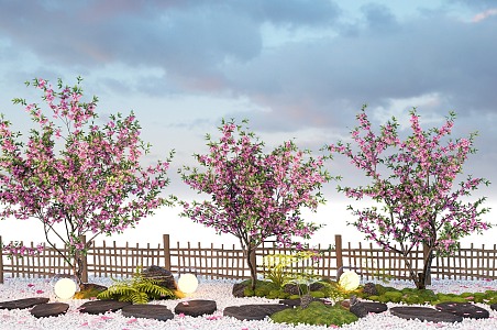 arbor cherry blossom landscape tree peach tree flowers courtyard tree street tree 3d model