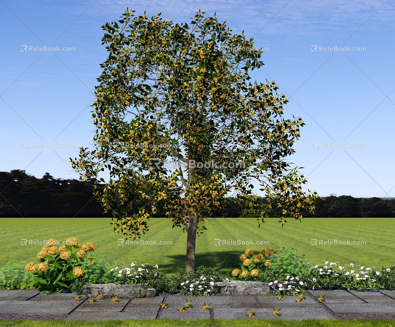 Tree Garden Flower Tree Tree Osmanthus Tree Osmanthus Tree Landscape Flower Tree Plant Combination Flower 3d model