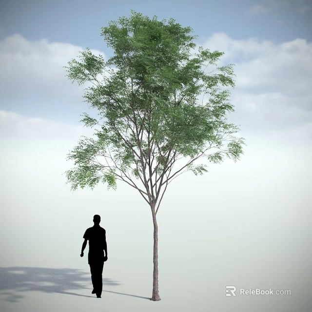 Tall Arbor Tree Standing With Person Silhouette Against Blue Sky And White Clouds 3d model 