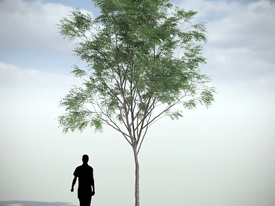 Tall Arbor Tree Standing With Person Silhouette Against Blue Sky And White Clouds 3d model