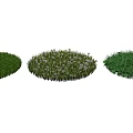 Three Different Round Shaped Grass Patches With White Flowers And Green Foliage