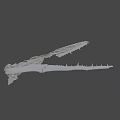 Elongated Skeletal Bones With Cracked Texture And Irregular Edges