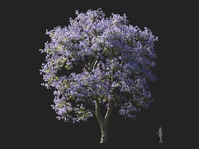 Tall Tree with Purple Blooming Flowers Against Black Background and Small Figure for Scale 3d model