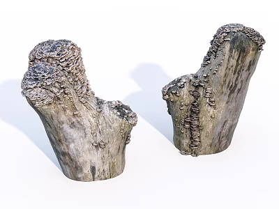 Stone Wood Decorative Ornaments With Natural Stump Shape And Rustic Texture For Indoor Decor 3d model