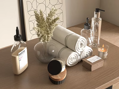 Neatly Arranged Laundry Daily Essentials With Rolled Towels Liquid Bottles And Wooden Brush 3d model