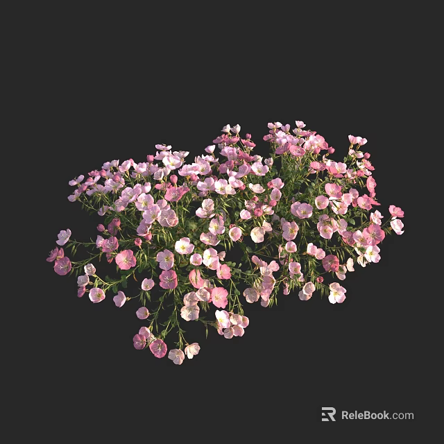 Beautiful Vibrant Pink And White Small Flowers Bouquet On Black Background 3d model 