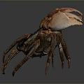 Brown Reptile with Textured Carapace and Orange Claws on Gray Surface