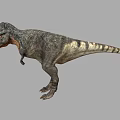 Detailed Tyrannosaurus Rex Dinosaur Figure With Open Jaw And Textured Skin