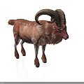 Ram With Large Curved Horns And Brown White Fur Standing On White Background
