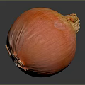 Commercial Food Processing Equipment For Fresh Onion Handling And Preparation