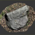 Large Natural Stone with Moss and Wooden Fallen Leaves on Ground