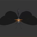 Beautiful Transparent Winged Insect With Red Edges And Reflective Surface