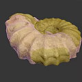 Natural Stone Sculptural Carving of Spiral Ammonite Fossil with Intricate Textures